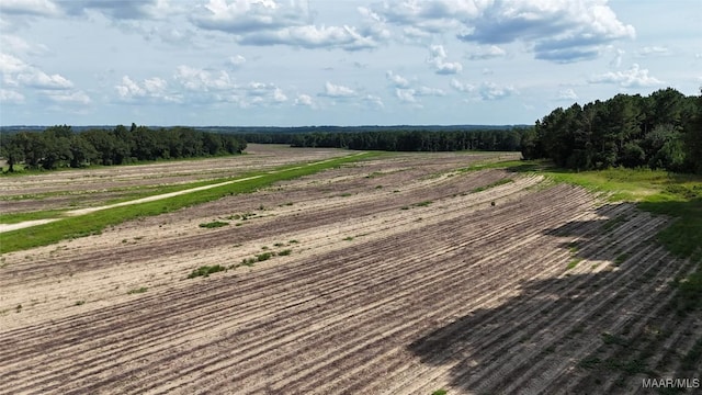 216 County Road 201st Rd, Ariton, AL 36010 - photo 8