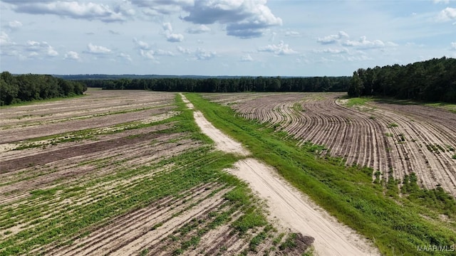 216 County Road 201st Rd, Ariton, AL 36010 - photo 9
