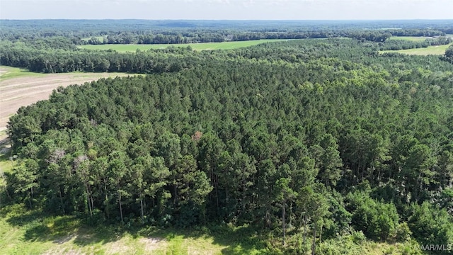 216 County Road 201st Rd, Ariton, AL 36010 - photo 10