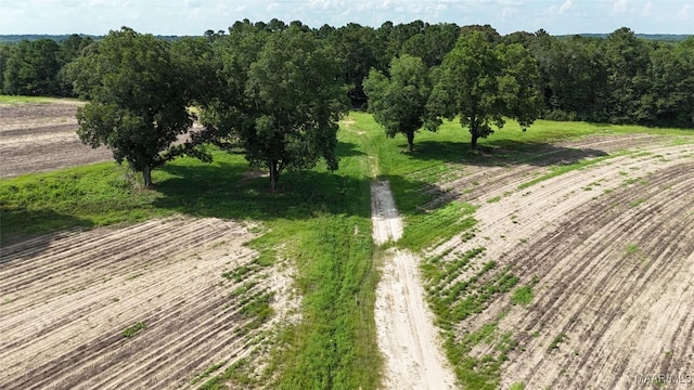 216 County Road 201st Rd, Ariton, AL 36010 - photo 11