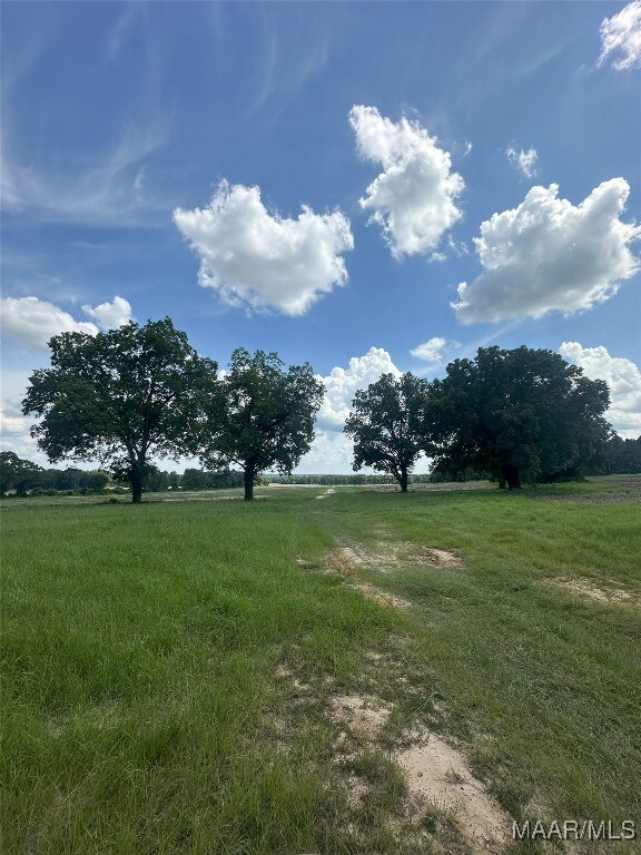 216 County Road 201st Rd, Ariton, AL 36010 - photo 12