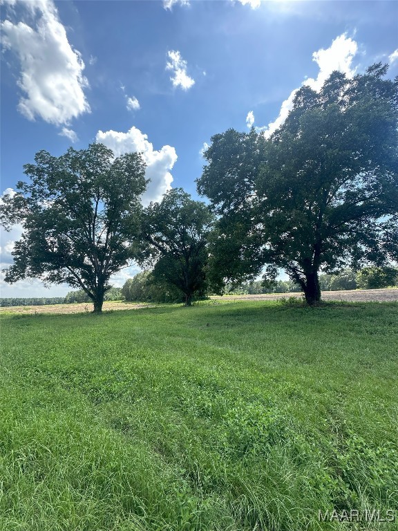 216 County Road 201st Rd, Ariton, AL 36010 - photo 13