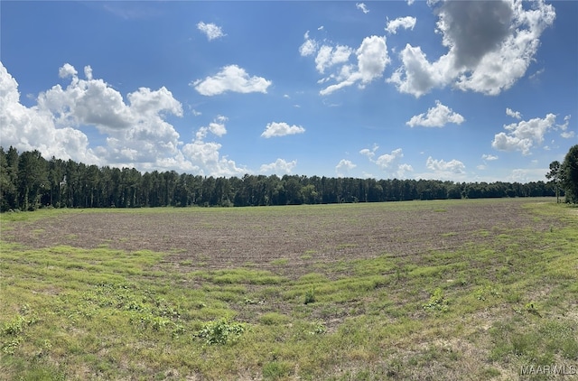 216 County Road 201st Rd, Ariton, AL 36010 - photo 14