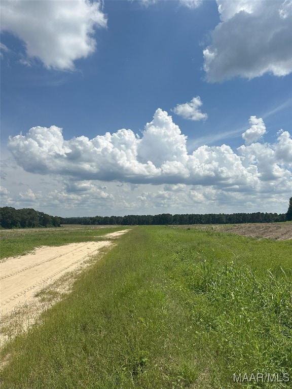 216 County Road 201st Rd, Ariton, AL 36010 - photo 15