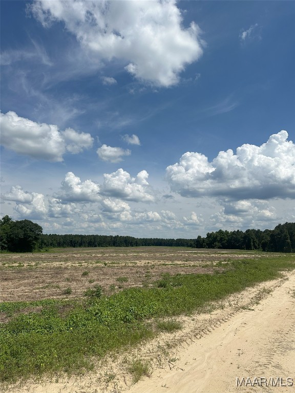 216 County Road 201st Rd, Ariton, AL 36010 - photo 16