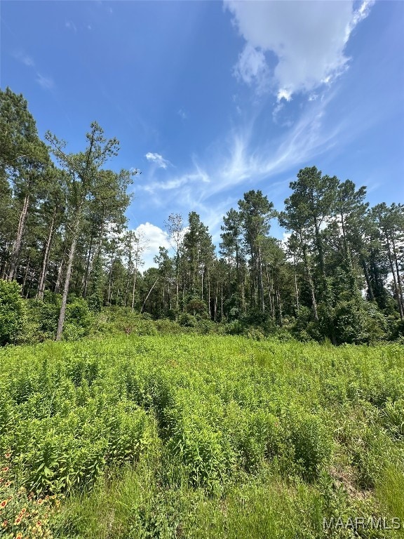 216 County Road 201st Rd, Ariton, AL 36010 - photo 17