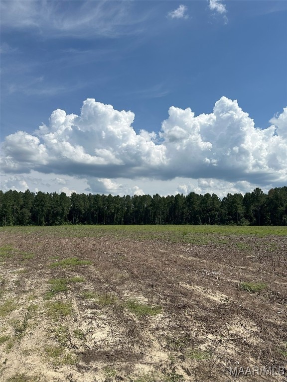 216 County Road 201st Rd, Ariton, AL 36010 - photo 18