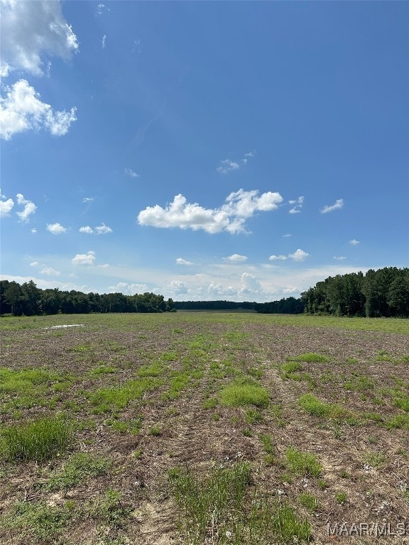 216 County Road 201st Rd, Ariton, AL 36010 - photo 19
