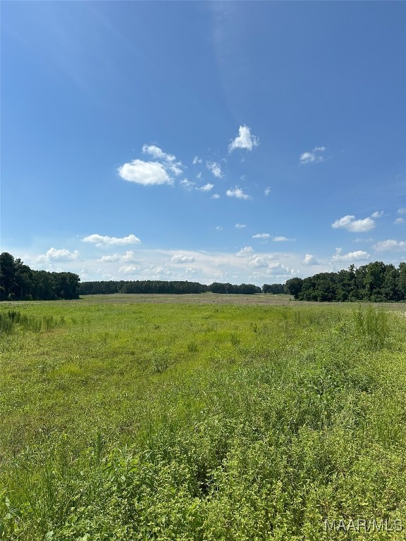 216 County Road 201st Rd, Ariton, AL 36010 - photo 20