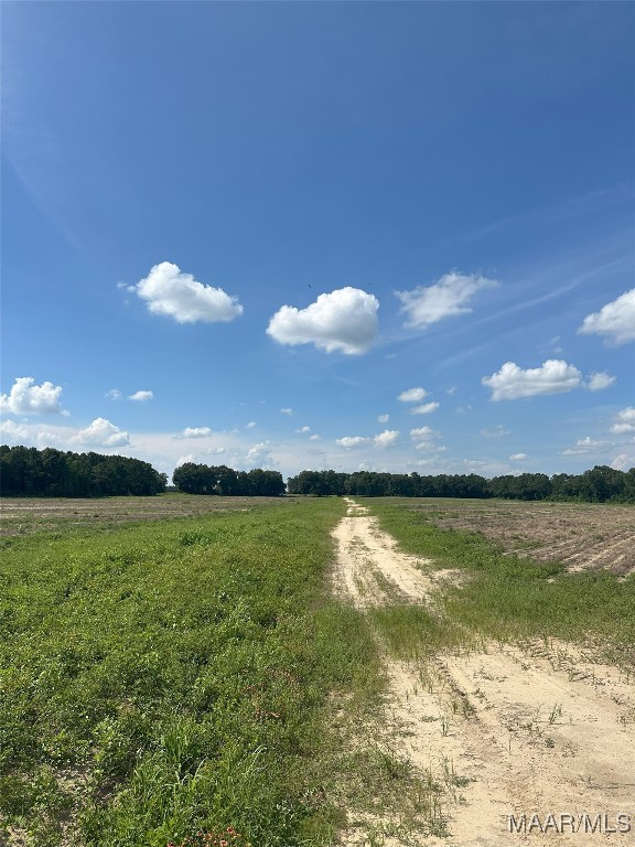 216 County Road 201st Rd, Ariton, AL 36010 - photo 21