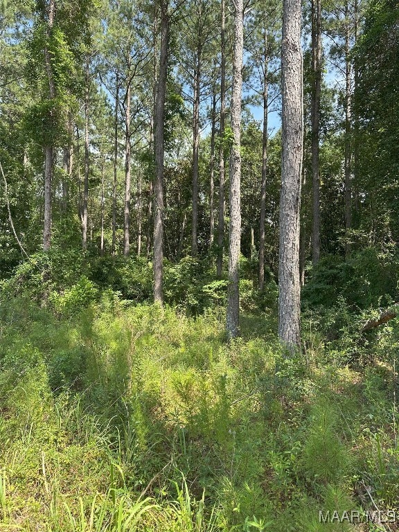 216 County Road 201st Rd, Ariton, AL 36010 - photo 23