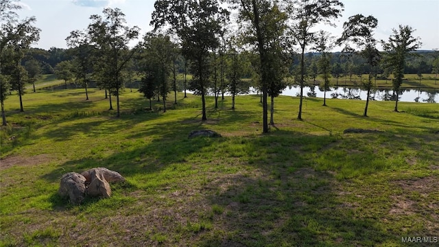 58 Cross Creek Rd, Alexander City, AL 35010