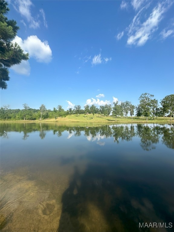 58 Cross Creek Rd, Alexander City, AL 35010