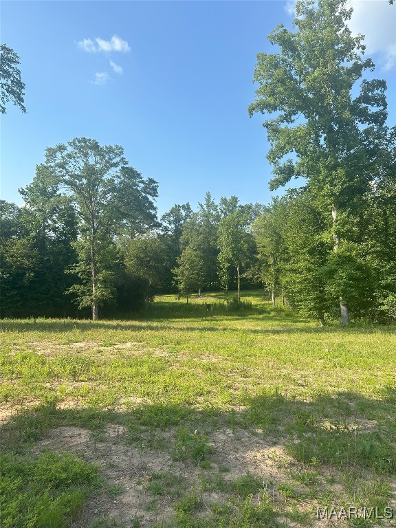 58 Cross Creek Rd, Alexander City, AL 35010