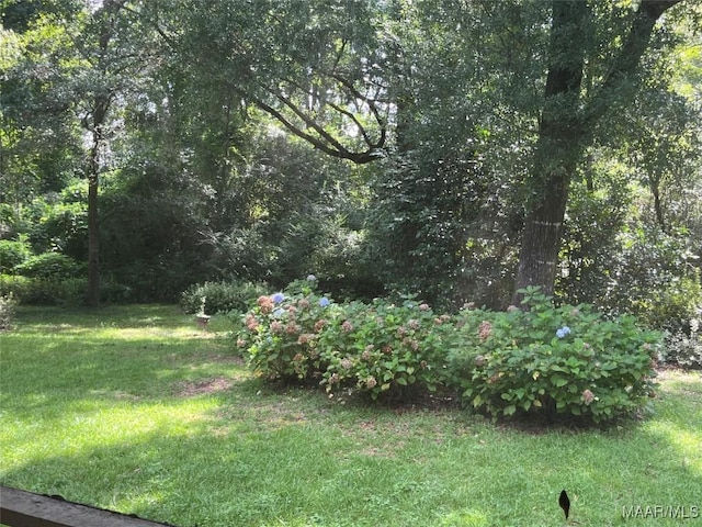 1682 Landline Rd, Selma, AL 36701 - view of grassy yard featuring a wooded view