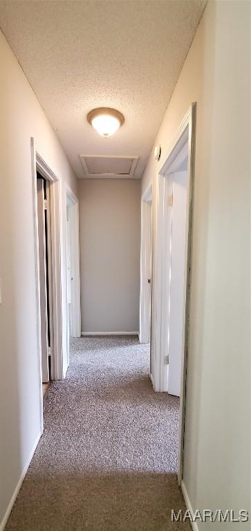 3152 Gentilly Ct, Montgomery, AL 36116 - hallway featuring carpet, attic access, and a textured ceiling