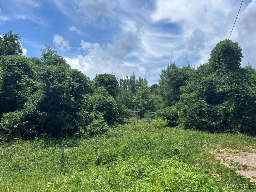 0 Landline Rd, Selma, AL 36701