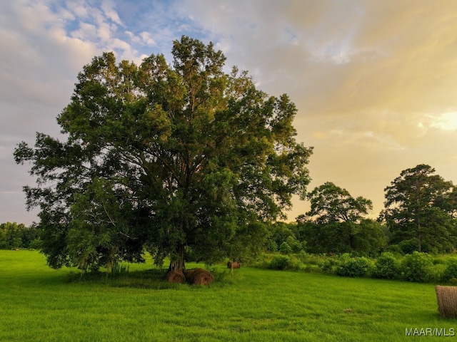 713 Henderson Rd, Hope Hull, AL 36043