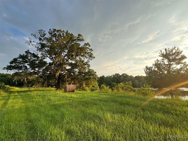713 Henderson Rd, Hope Hull, AL 36043