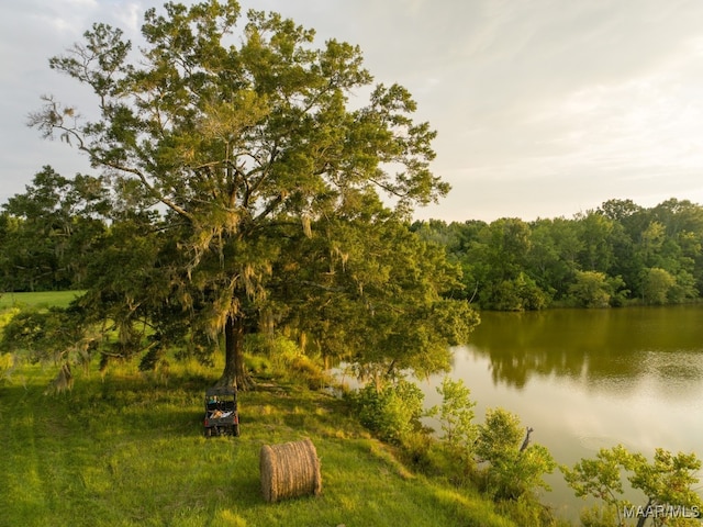 713 Henderson Rd, Hope Hull, AL 36043