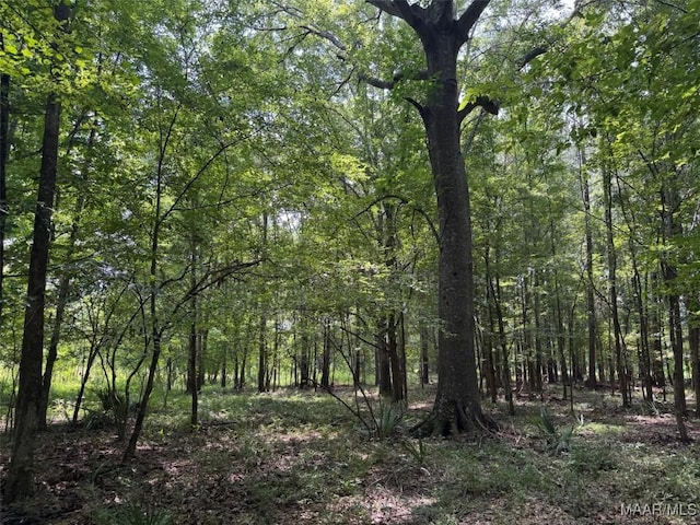 713 Henderson Rd, Hope Hull, AL 36043