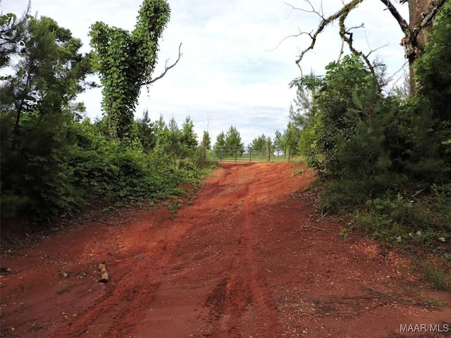 0 Montezuma Rd, Greenville, AL 36037