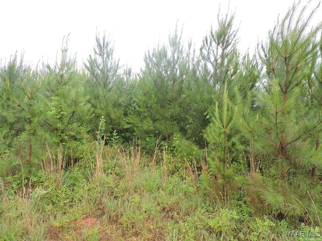 0 Montezuma Rd, Greenville, AL 36037