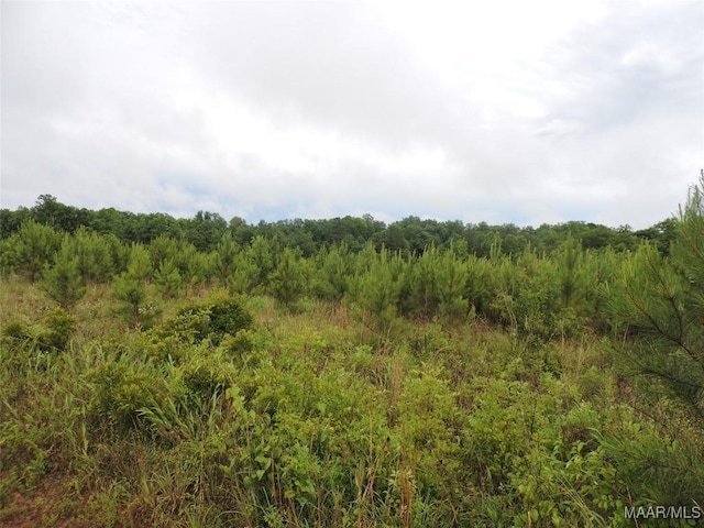 0 Montezuma Rd, Greenville, AL 36037