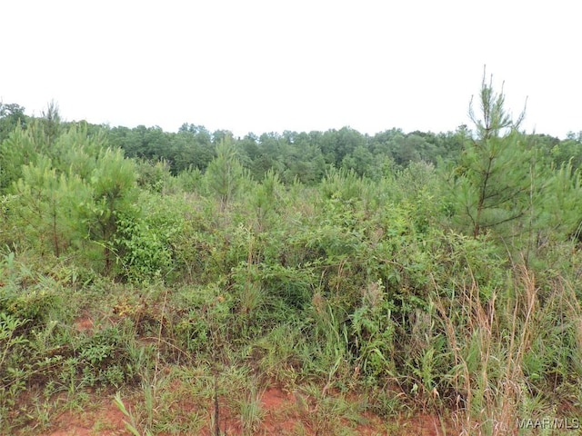 0 Montezuma Rd, Greenville, AL 36037