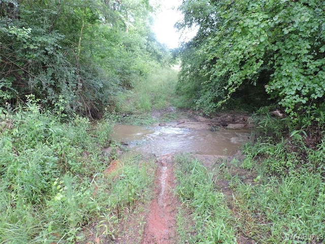 0 Montezuma Rd, Greenville, AL 36037
