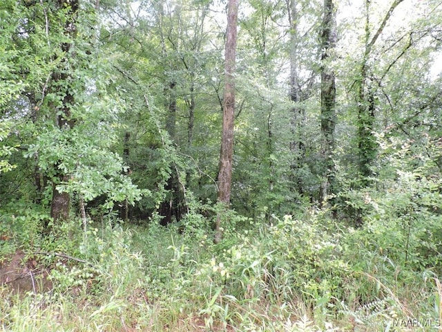 0 Montezuma Rd, Greenville, AL 36037
