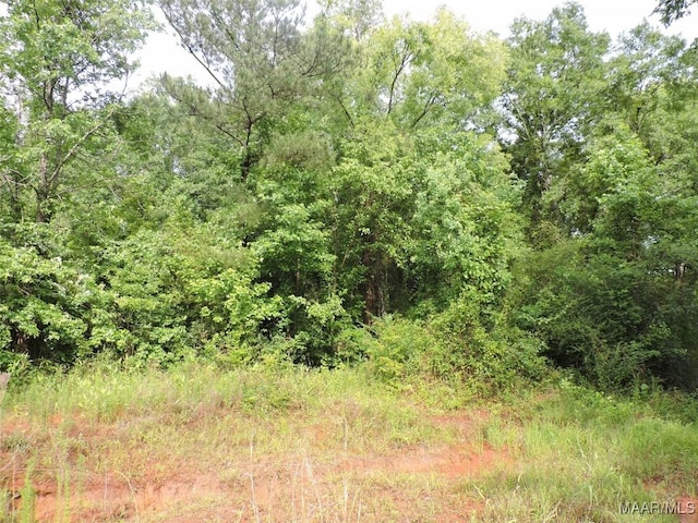 0 Montezuma Rd, Greenville, AL 36037