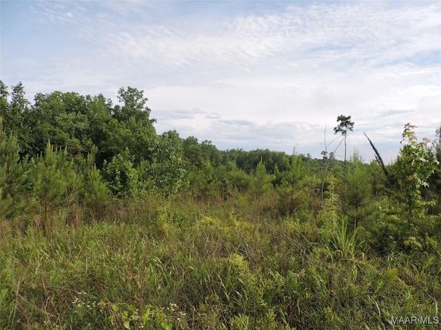 0 Montezuma Rd, Greenville, AL 36037