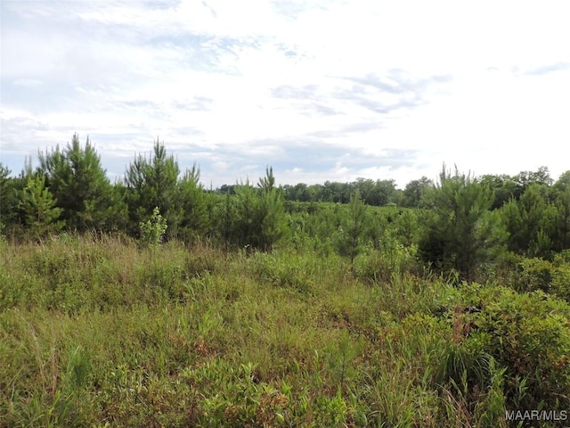 0 Montezuma Rd, Greenville, AL 36037