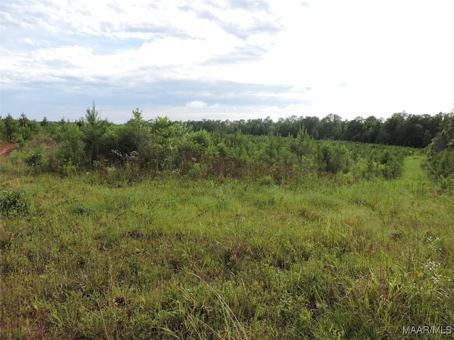 0 Montezuma Rd, Greenville, AL 36037