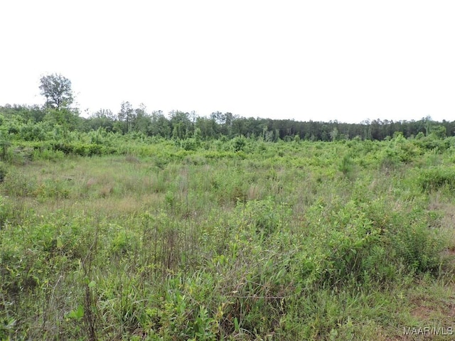 0 Montezuma Rd, Greenville, AL 36037
