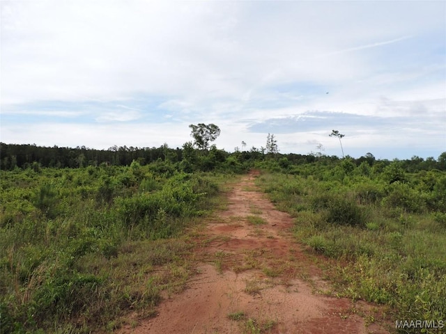 0 Montezuma Rd, Greenville, AL 36037