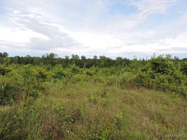 0 Montezuma Rd, Greenville, AL 36037