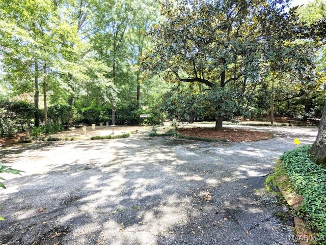 1672 Gilmer Ave, Montgomery, AL 36104 - view of road