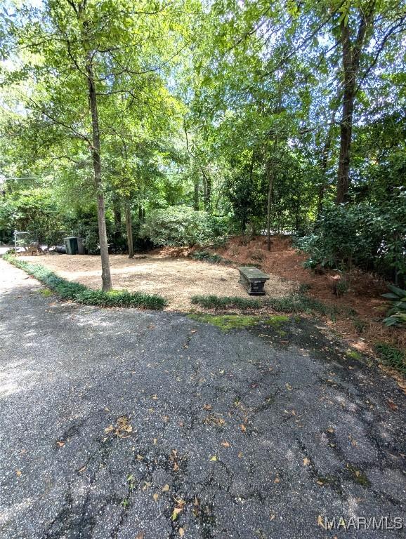 1672 Gilmer Ave, Montgomery, AL 36104 - view of yard