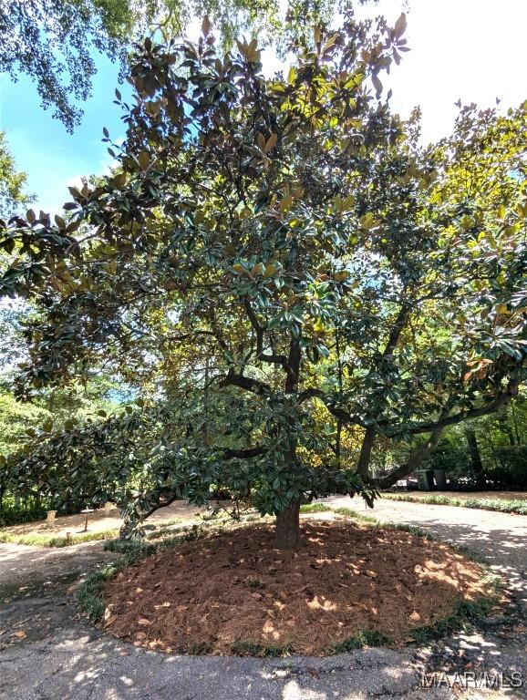 1672 Gilmer Ave, Montgomery, AL 36104 - view of yard
