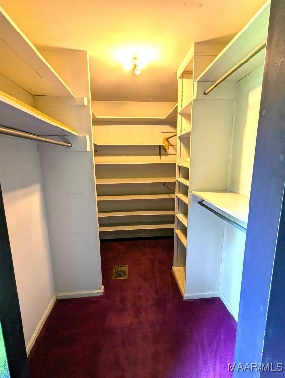 1672 Gilmer Ave, Montgomery, AL 36104 - walk in closet with carpet floors