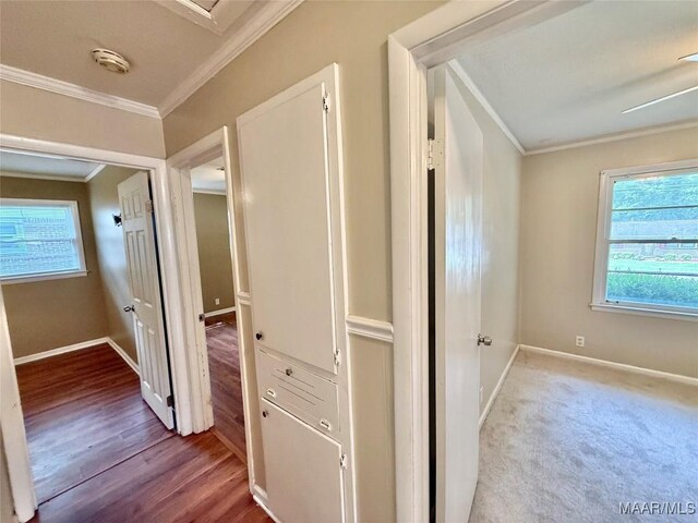 3708 Hillandale Dr, Valley Grande, AL 36703 - photo 18