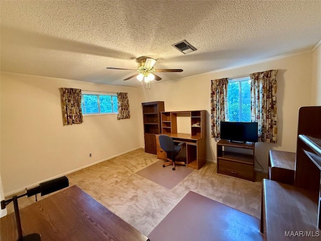 146 County Road 65, Valley Grande, AL 36701 - photo 39