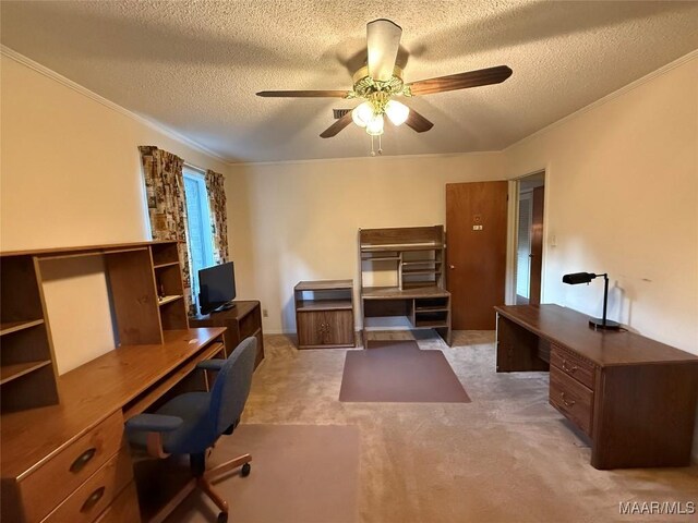 146 County Road 65, Valley Grande, AL 36701 - photo 41