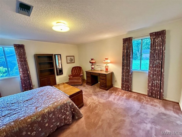 146 County Road 65, Valley Grande, AL 36701 - photo 43