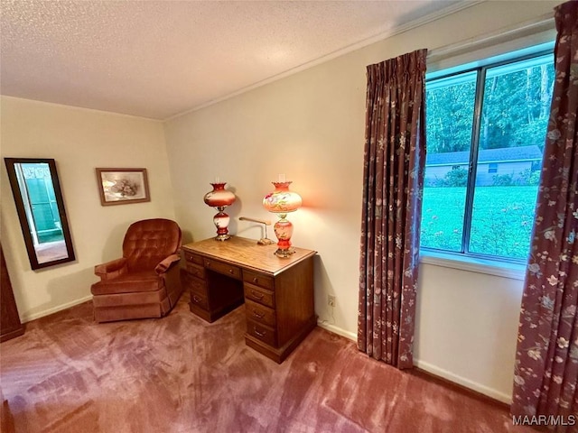 146 County Road 65, Valley Grande, AL 36701 - photo 44