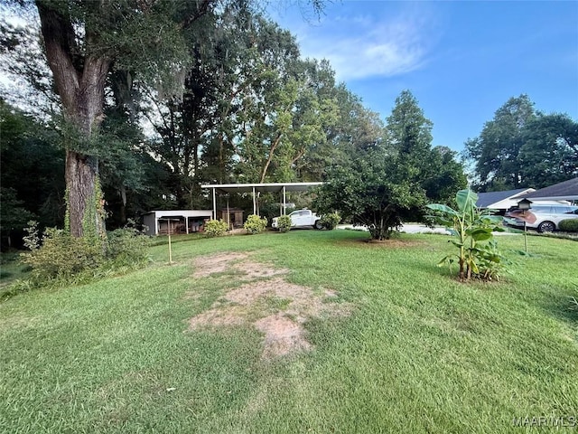 146 County Road 65, Valley Grande, AL 36701 - photo 63