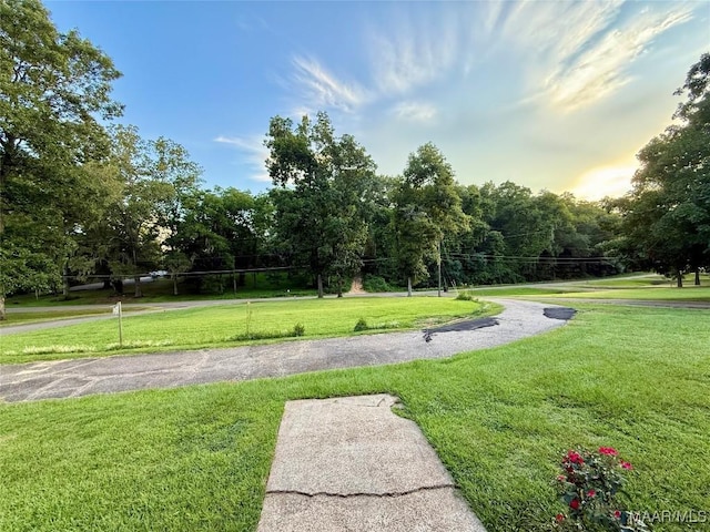 146 County Road 65, Valley Grande, AL 36701 - photo 53