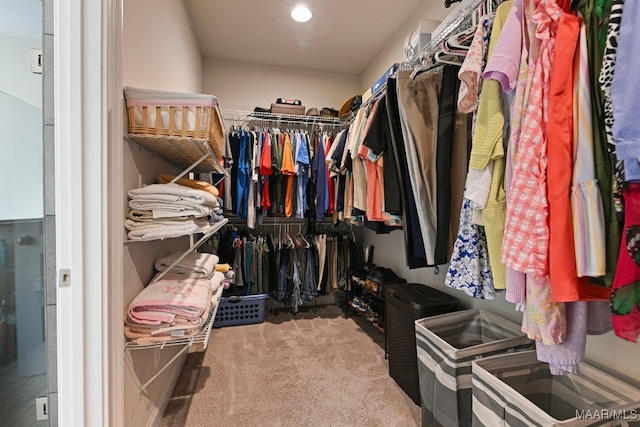 311 Alston Dr, Wetumpka, AL 36093 - spacious closet featuring carpet floors